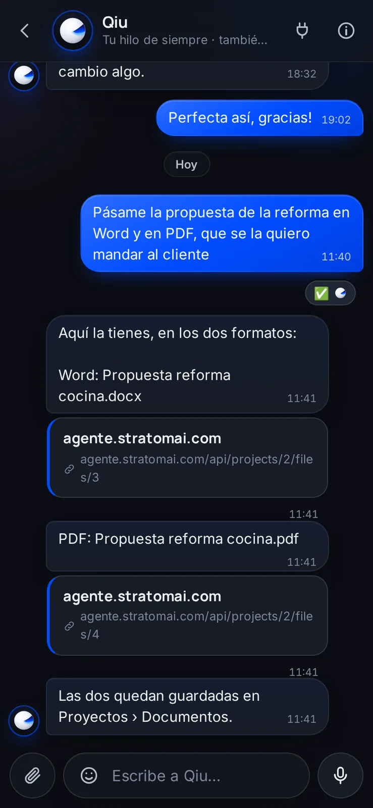 Pídele un documento en Word o en PDF y Qiu te da el archivo listo para descargar y enviar. También lo guarda en tus proyectos.