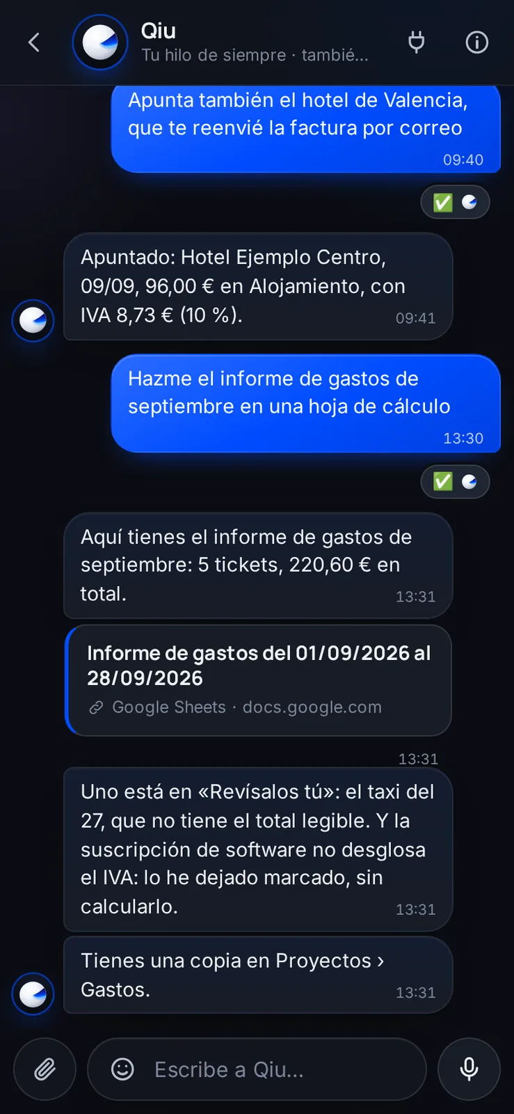 Pídele el informe del mes y te lo prepara en una hoja de cálculo: por categorías, con el total, lo que falta revisar y lo que no desglosa el IVA. Y deja una copia en tus proyectos.
