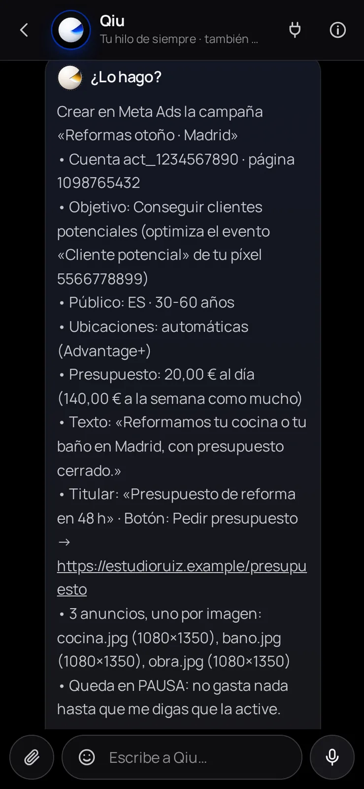 Con la plantilla «Campañas de Meta Ads», Qiu monta la campaña con tus fotos: objetivo, público, presupuesto y un anuncio por imagen. Te la enseña en una tarjeta y se crea en pausa, sin gastar nada hasta que la actives.