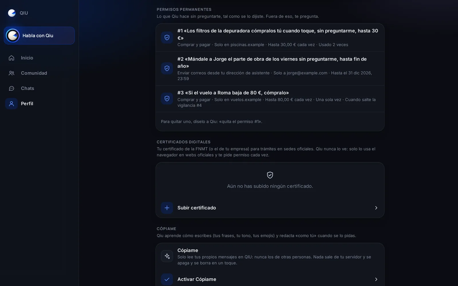 En tu perfil ves cada permiso con tus propias palabras, sus condiciones y las veces que se ha usado. Para quitar uno, basta con decírselo a Qiu.