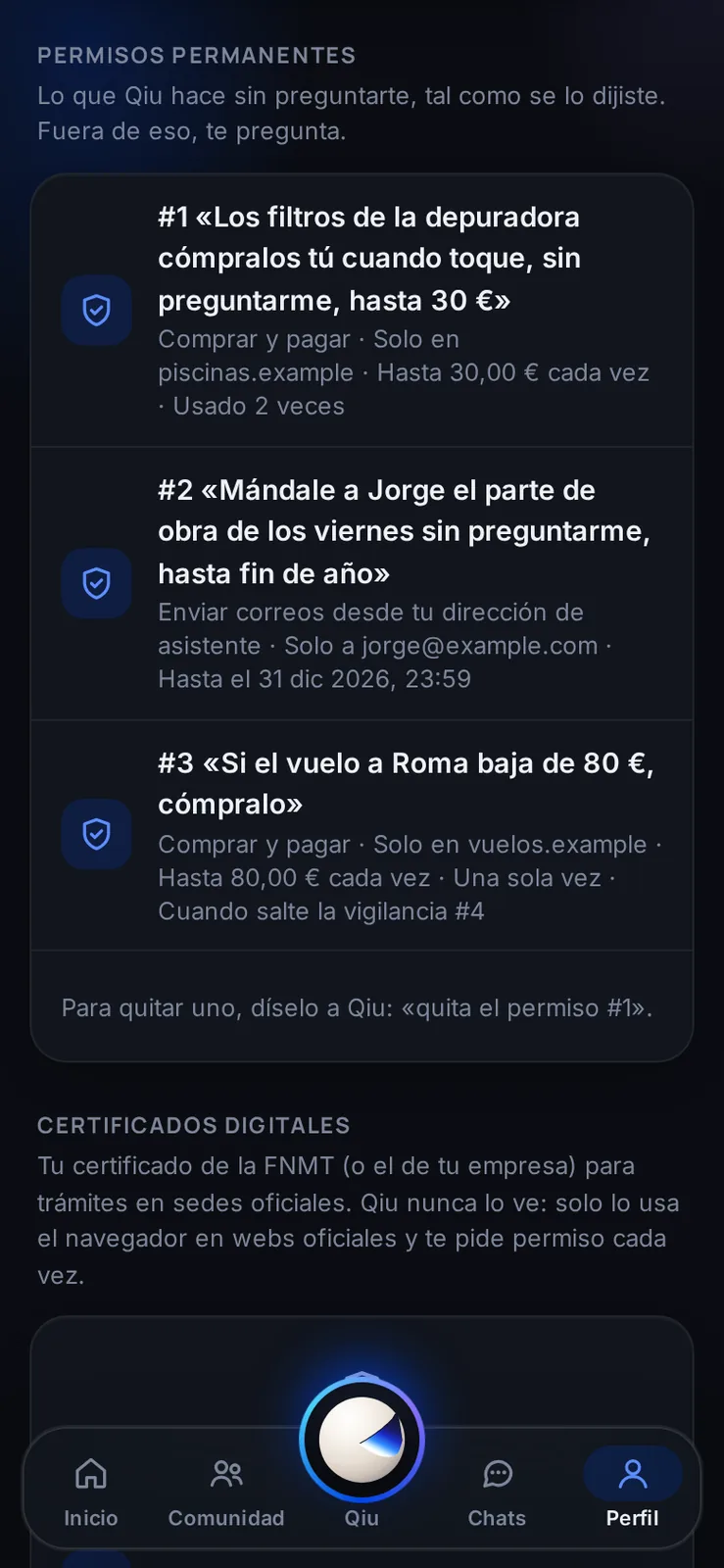 En tu perfil ves cada permiso con tus propias palabras, sus condiciones y las veces que se ha usado. Para quitar uno, basta con decírselo a Qiu.